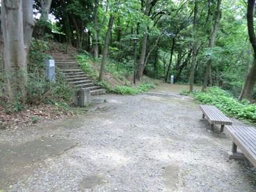 等々力渓谷の画像1