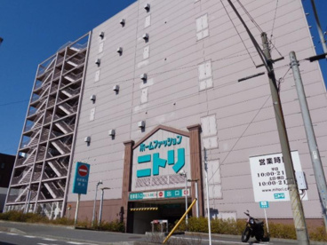 ニトリ松戸店情報ページ 三郷市 吉川市 八潮市の不動産は仲介手数料無料のクルーハウジング