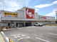 スギ薬局 笠寺店の画像
