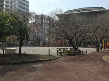 鉄砲洲児童公園の画像1