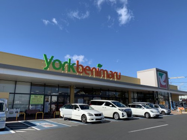 ヨークベニマル鶴田店の画像4