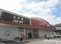 HalloDay(ハローデイ) 井堀店