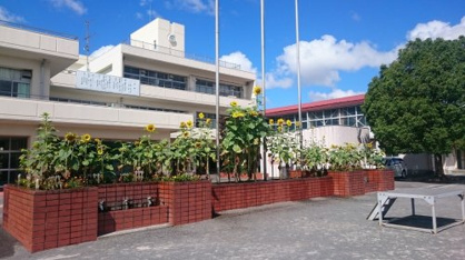 横浜市立丸山台小学校の画像1