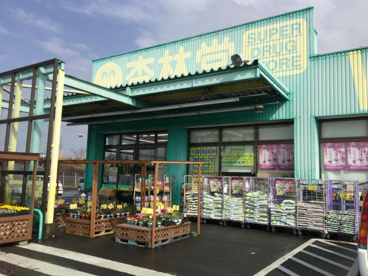 杏林堂ドラッグストア 菊川店の画像1