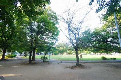 の画像