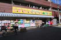 どらっぐぱぱす 大山幸町店