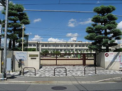 の画像