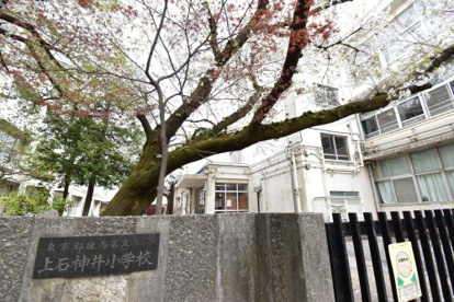 練馬区立上石神井小学校の画像1