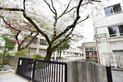 練馬区立上石神井小学校の画像3
