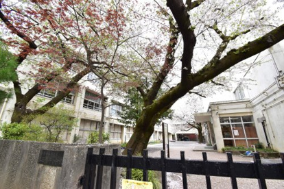 練馬区立上石神井小学校の画像4