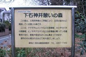 下石神井緑地の画像1
