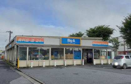 ビッグ・エー北守谷店の画像1