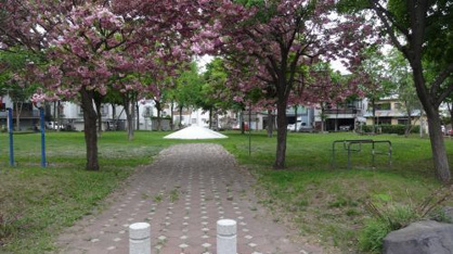 あおい公園の画像1