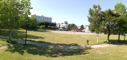 白石あかつき公園の画像1