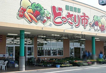 JA遠州中央 ファーマーズマーケット磐田南部どっさり市