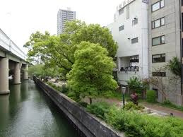 東横堀緑道の画像1