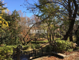 三ツ沢公園
