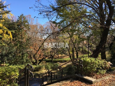 三ツ沢公園の画像1