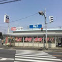 ビッグ・エー 松戸八ケ崎店