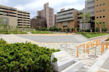 新駅4号公園