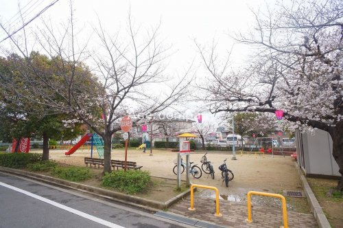 の画像