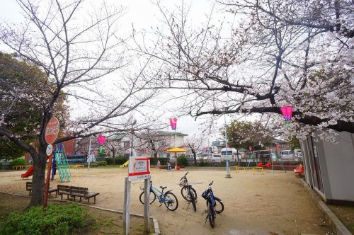 の画像
