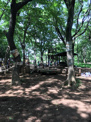 子どもたちの森公園