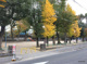 菅原天満宮公園の画像