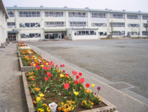 茅ヶ崎市立松林小学校