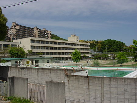 の画像