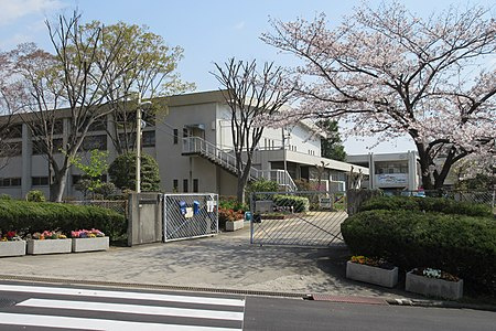 の画像