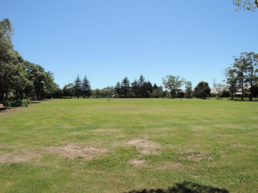 金井公園多目的広場の画像1
