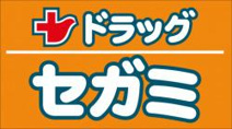セガミ薬局河内永和店
