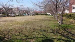 内川緑地の画像1