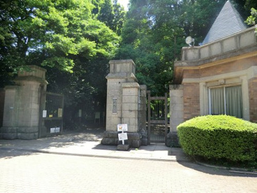 駒場公園の画像1