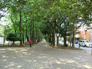 みどり幼稚園の画像2