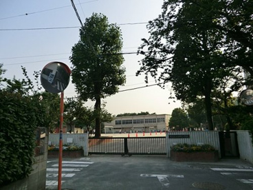 みどり幼稚園の画像5