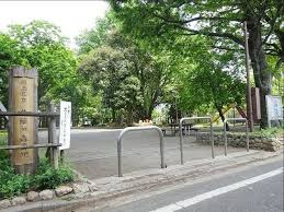 井頭の森緑地の画像1