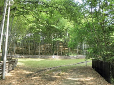 千里東町公園庭球場の画像1