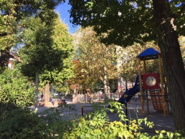 精華公園の画像1