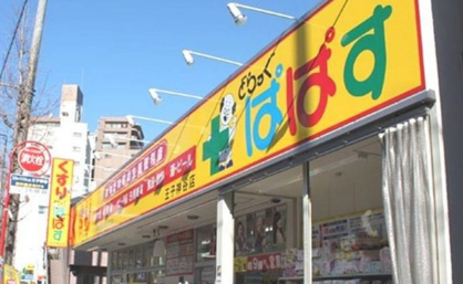 どらっぐぱぱす 王子神谷店の画像1