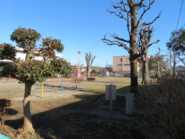 若草２号児童公園の画像3