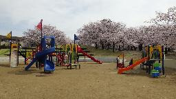水尾公園の画像1