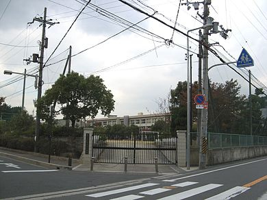 の画像