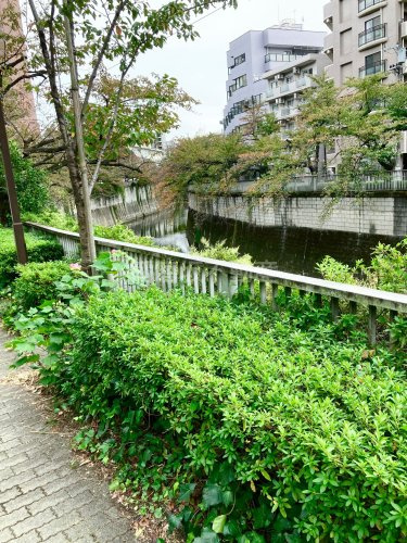 江戸川公園情報ページ 文京区の不動産売買は播磨坂不動産