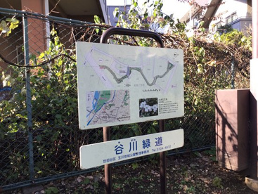 谷川緑道の画像1