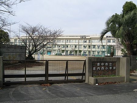の画像