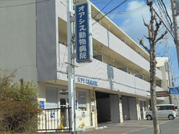 オアシス動物病院の画像1