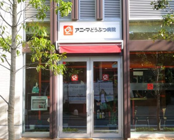 アニーマどうぶつ病院の画像1