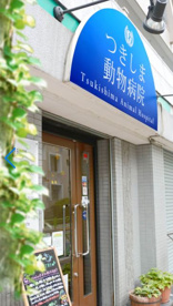 つきしま動物病院の画像1
